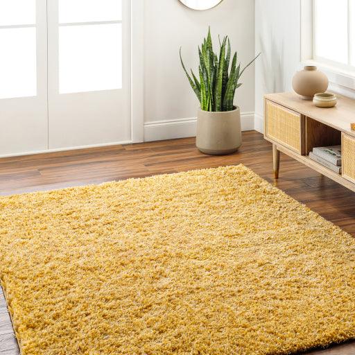 Surya Bogota Shag BTG-2305 5'3" x 7' Rug