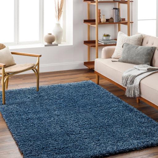 Surya Bogota Shag BTG-2308 5'3" x 7' Rug