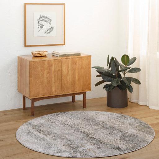 Surya Brunswick BWK-2305 2'7" x 4' Rug