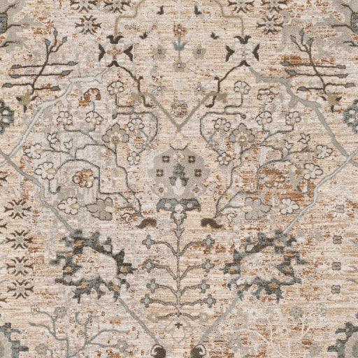 Surya Brunswick BWK-2311 2'7" x 4' Rug