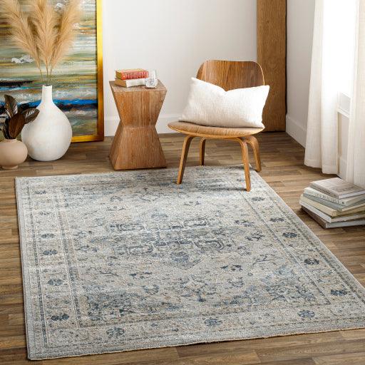 Surya Brunswick BWK-2319 2'7" x 4' Rug