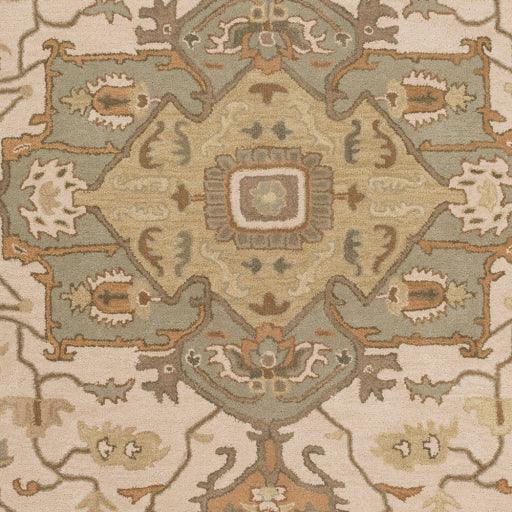 Surya Caesar CAE-1143 2' x 3' Rug