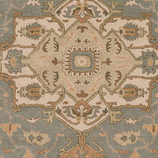 Surya Caesar CAE-1144 2' x 3' Rug