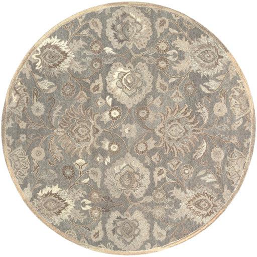 Surya Caesar CAE-1195 2' x 3' Rug