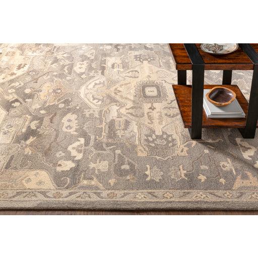 Surya Caesar CAE-1196 2' x 3' Rug