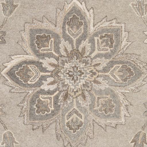 Surya Caesar CAE-1201 2' x 3' Rug