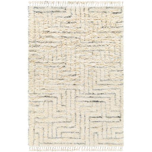 Surya Camille CME-2302 2' x 3' Rug