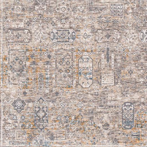 Surya Cardiff CDF-2310 2'7" x 4' Rug