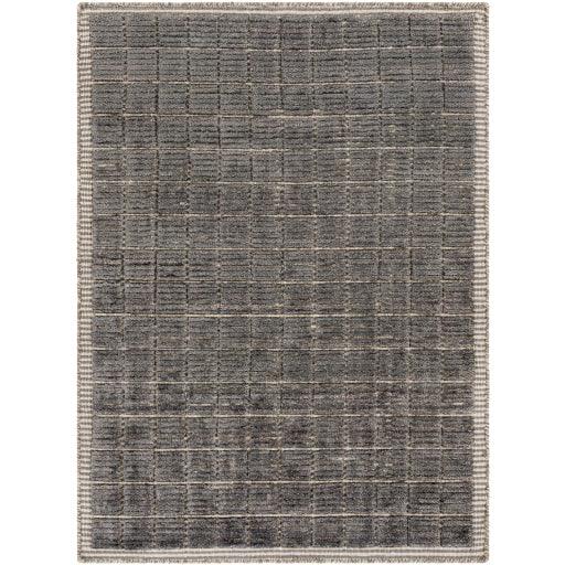 Surya Carre CCR-2302 2' x 3' Rug