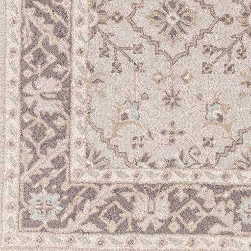 Surya Castille CTL-2000 2' x 3' Rug