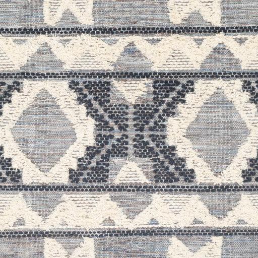 Surya Cheyenne CHY-2307 2' x 3' Rug