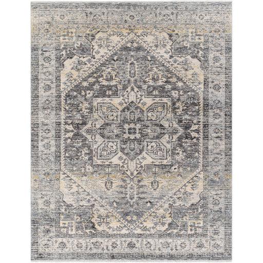 Surya Chicago CHG-2316 2'10" x 8' Rug