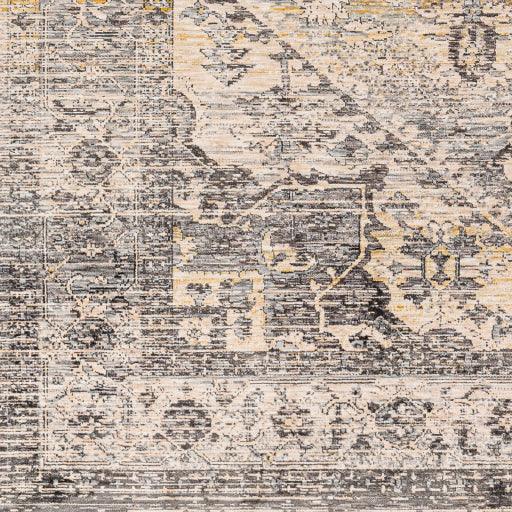 Surya Chicago CHG-2316 2'10" x 8' Rug