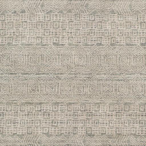 Surya Claude CAU-1003 2' x 3' Rug