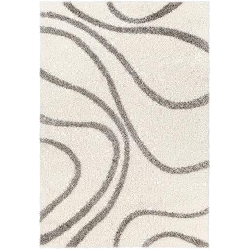 Surya Cloudy Shag CDG-2300 5'3" x 7' Rug