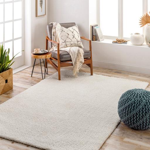 Surya Cloudy Shag CDG-2302 5'3" x 7' Rug