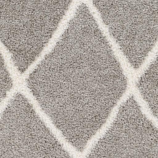 Surya Cloudy Shag CDG-2313 5'3" x 7' Rug