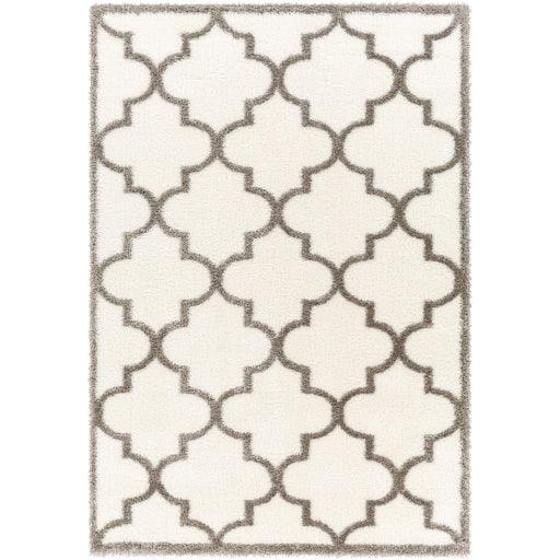 Surya Cloudy Shag CDG-2314 5'3" x 7' Rug