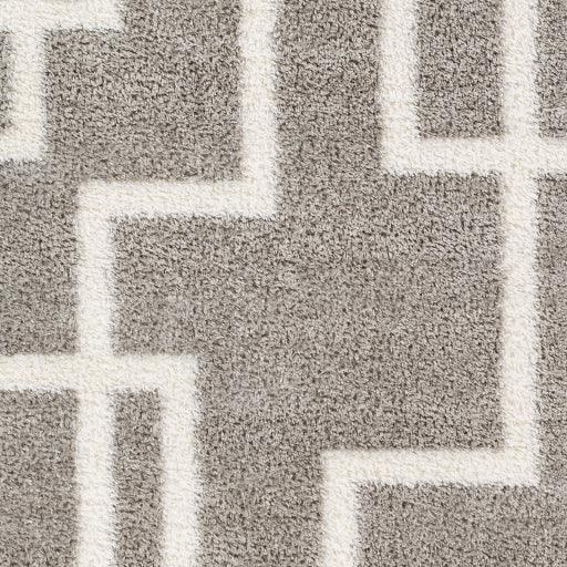 Surya Cloudy Shag CDG-2315 5'3" x 7' Rug