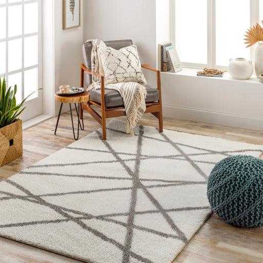 Surya Cloudy Shag CDG-2316 5'3" x 7' Rug