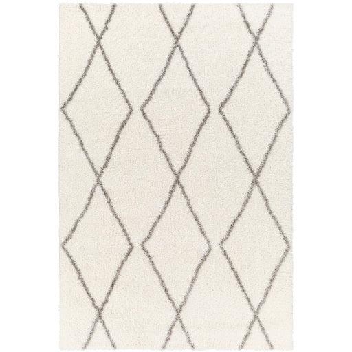 Surya Cloudy Shag CDG-2317 5'3" x 7' Rug