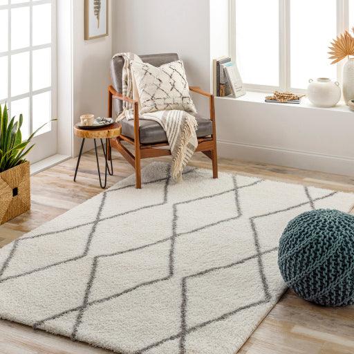 Surya Cloudy Shag CDG-2317 5'3" x 7' Rug