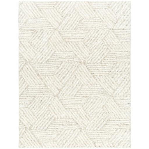 Surya Cloudy Shag CDG-2319 5'3" x 7' Rug