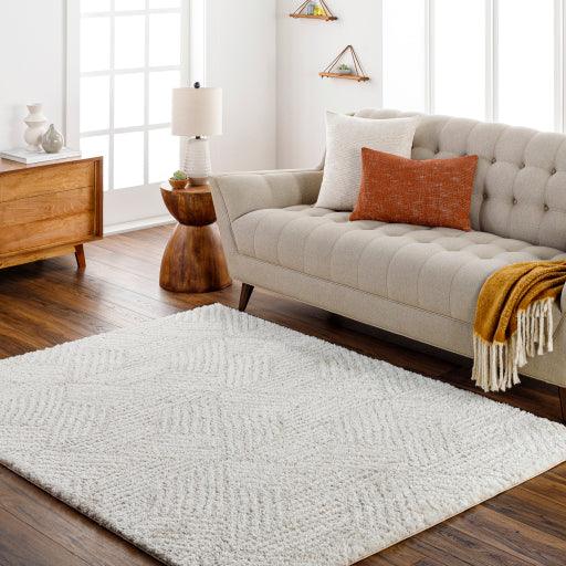 Surya Cloudy Shag CDG-2319 5'3" x 7' Rug