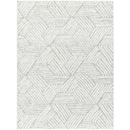 Surya Cloudy Shag CDG-2320 5'3" x 7' Rug