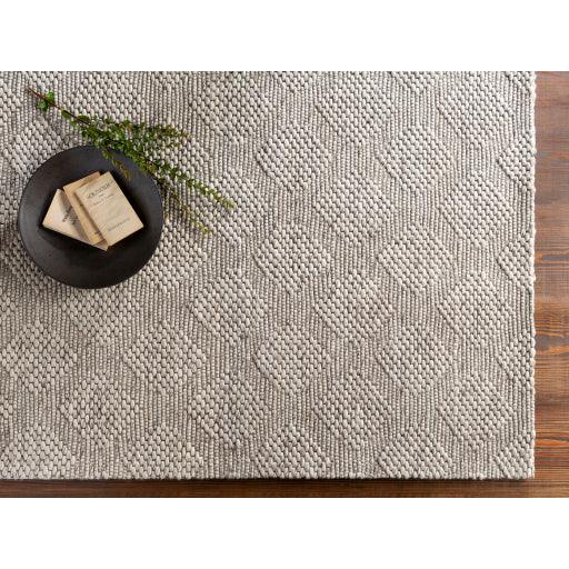 Surya Colarado CDO-2301 2' x 3' Rug