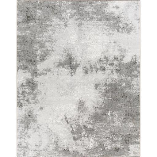 Surya Contempo CPO-3839 2' x 2'11" Rug