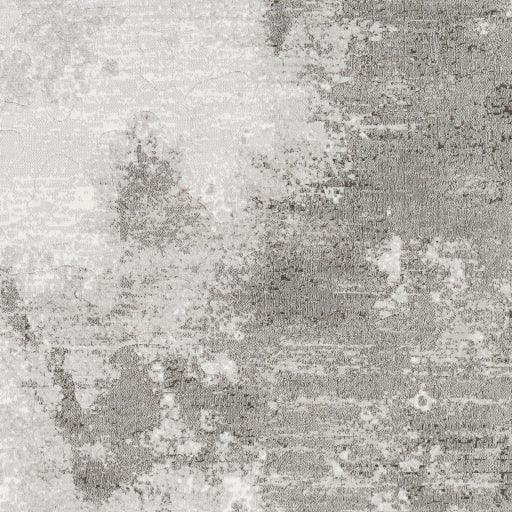 Surya Contempo CPO-3839 2' x 2'11" Rug