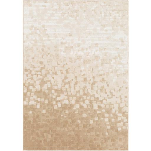 Surya Contempo CPO-3841 2' x 2'11" Rug