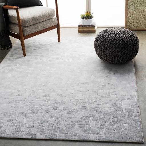 Surya Contempo CPO-3843 2' x 2'11" Rug