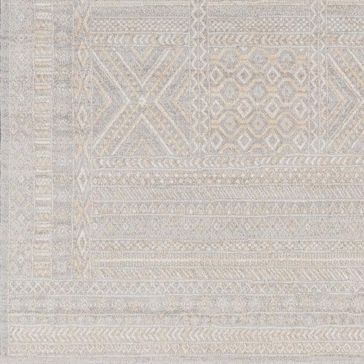 Surya Contempo CPO-3855 2' x 2'11" Rug