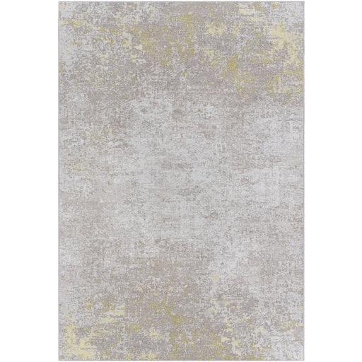 Surya Costa Mesa TSA-1003 2'2" x 4'3" Rug