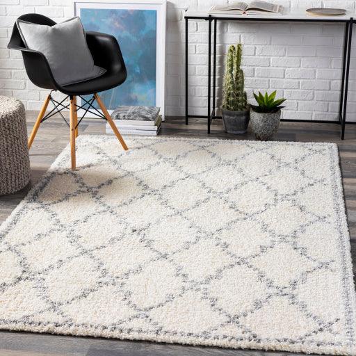 Surya Deluxe Shag DXS-2305 5'3" x 7'3" Rug