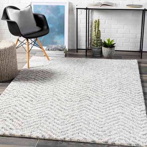 Surya Deluxe Shag DXS-2307 5'3" x 7'3" Rug