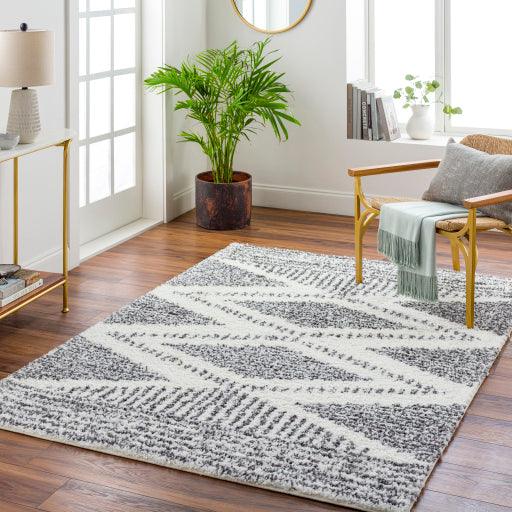 Surya Deluxe Shag DXS-2309 2'7" x 10' Rug