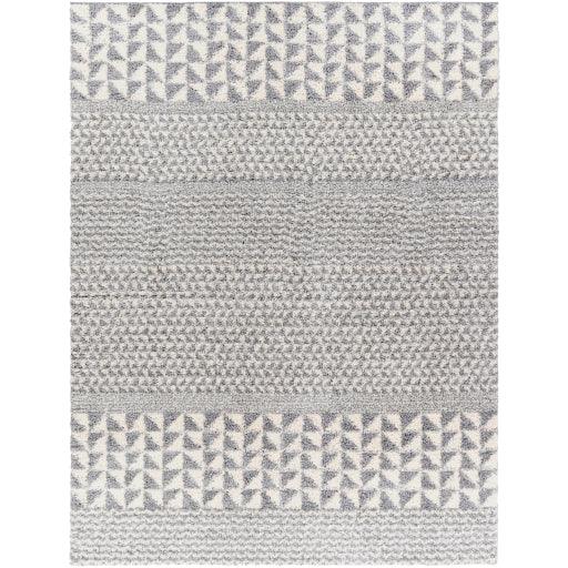 Surya Deluxe Shag DXS-2311 5'3" x 7'3" Rug