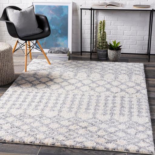 Surya Deluxe Shag DXS-2312 5'3" x 7'3" Rug