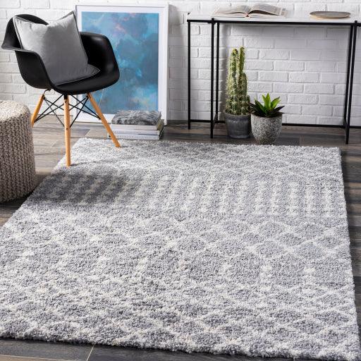 Surya Deluxe Shag DXS-2313 5'3" x 7'3" Rug