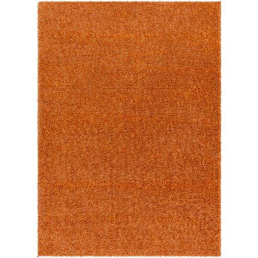 Surya Deluxe Shag DXS-2322 5'3" x 7'3" Rug