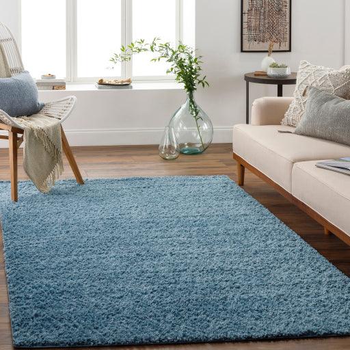 Surya Deluxe Shag DXS-2325 5'3" x 7'3" Rug