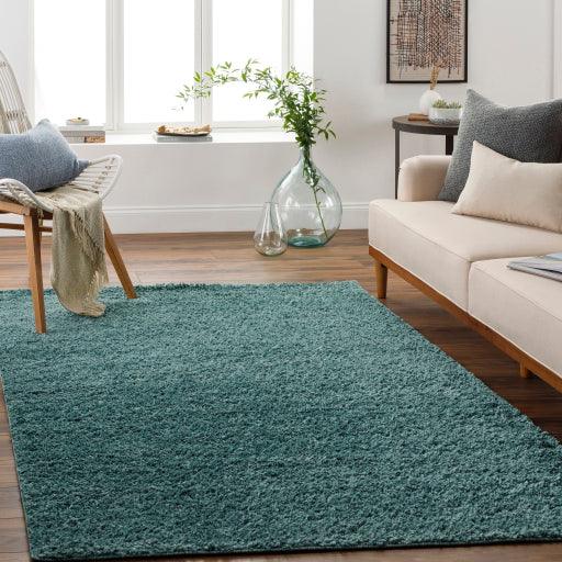 Surya Deluxe Shag DXS-2326 5'3" x 7'3" Rug