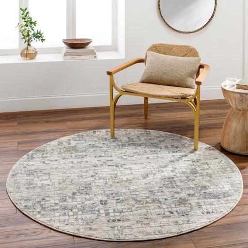 Surya Dresden DRE-2304 2'7" x 4' Rug