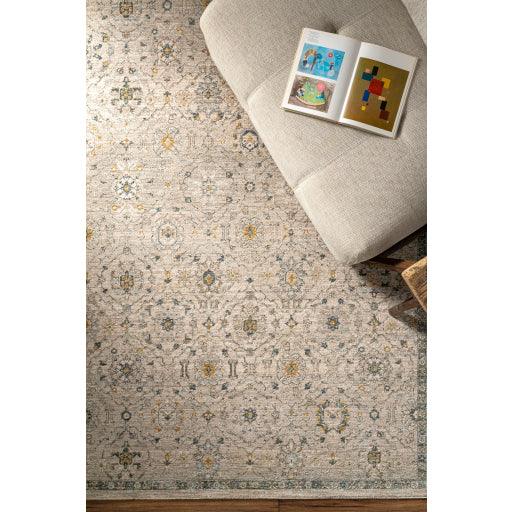 Surya Dresden DRE-2306 2'7" x 4' Rug