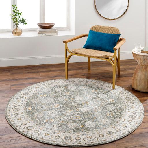 Surya Dresden DRE-2312 2'7" x 4' Rug