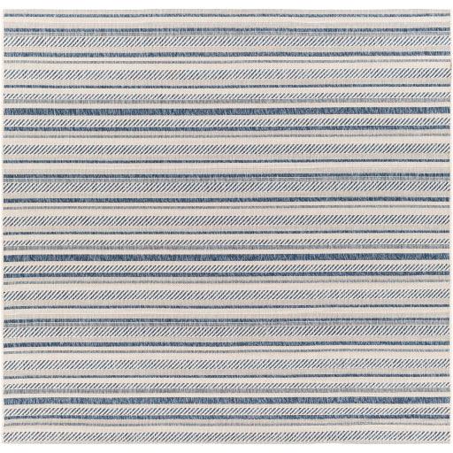 Surya Eagean EAG-2337 4'3" x 5'11" Rug