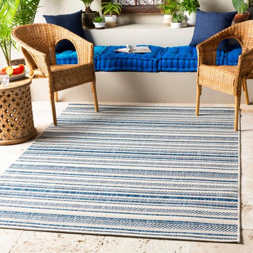 Surya Eagean EAG-2337 4'3" x 5'11" Rug